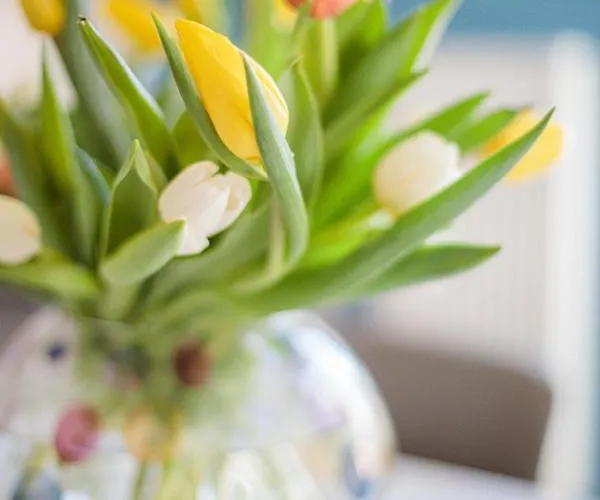 La Terrasse Du Port Ap4212