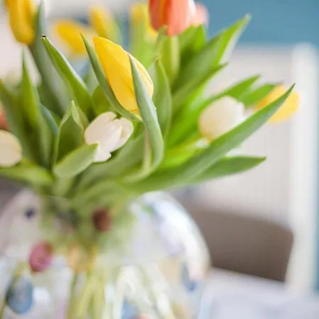 La Terrasse Du Port Ap4212